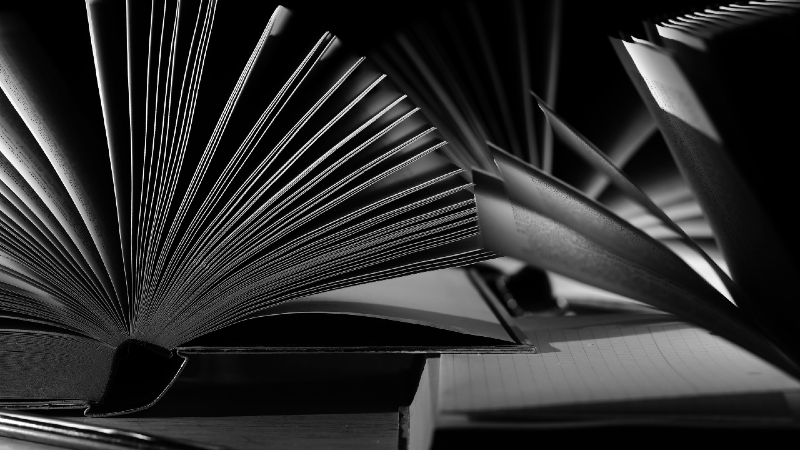 Why Program Management Determines Whether Transformation Succeeds