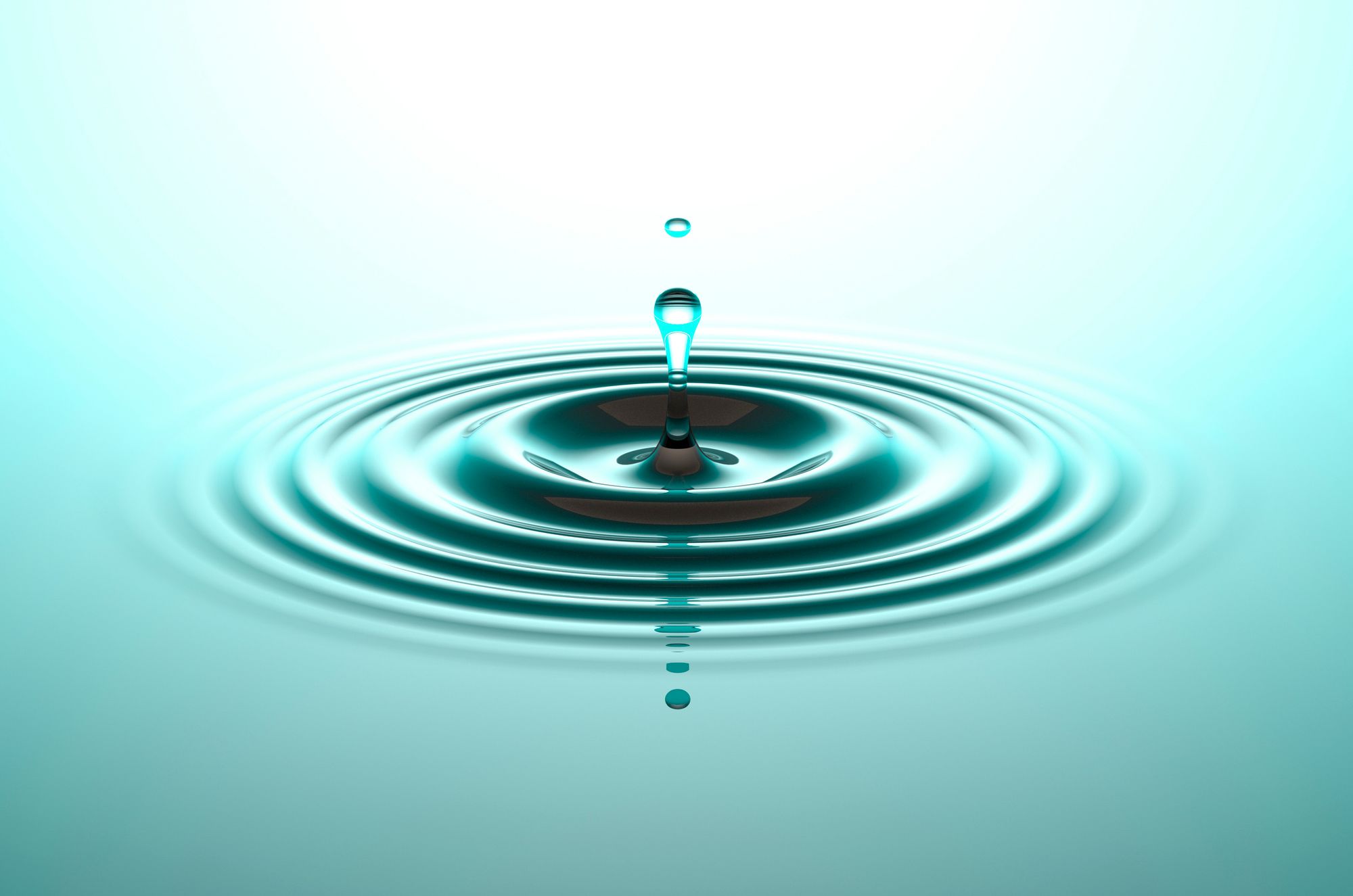 CTO reviewing transformation progress charts during year-end planning — symbolising clarity and focus during the festive season slowdown.