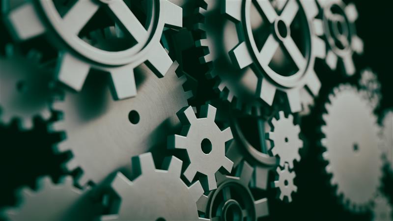 The Partnership Between CEOs and Transformation Leaders